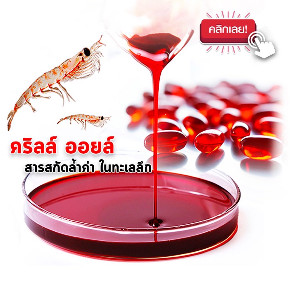 คริลล์ ออยล์ คืออะไร ต่างจากน้ำมันปลาตรงไหน