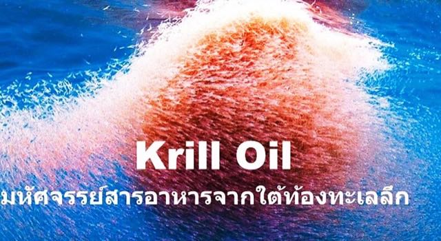 คริลล์ ออยล์